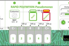 Rapid polimixin Pseudo
